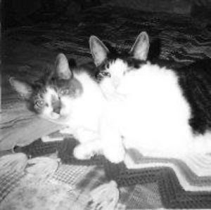 Meet your Posher, Debra